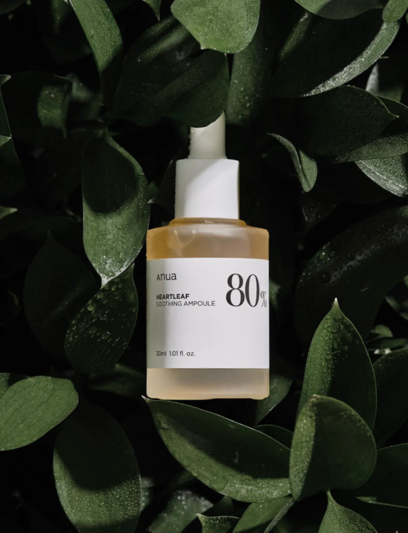 Anua - Heartleaf 80% Moisture Soothing Ampoule 30 ml 1